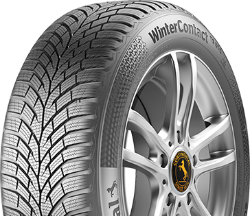 WINTERCONTACT TS 870