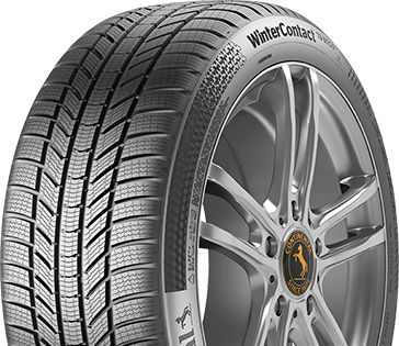 WINTERCONTACT TS870P